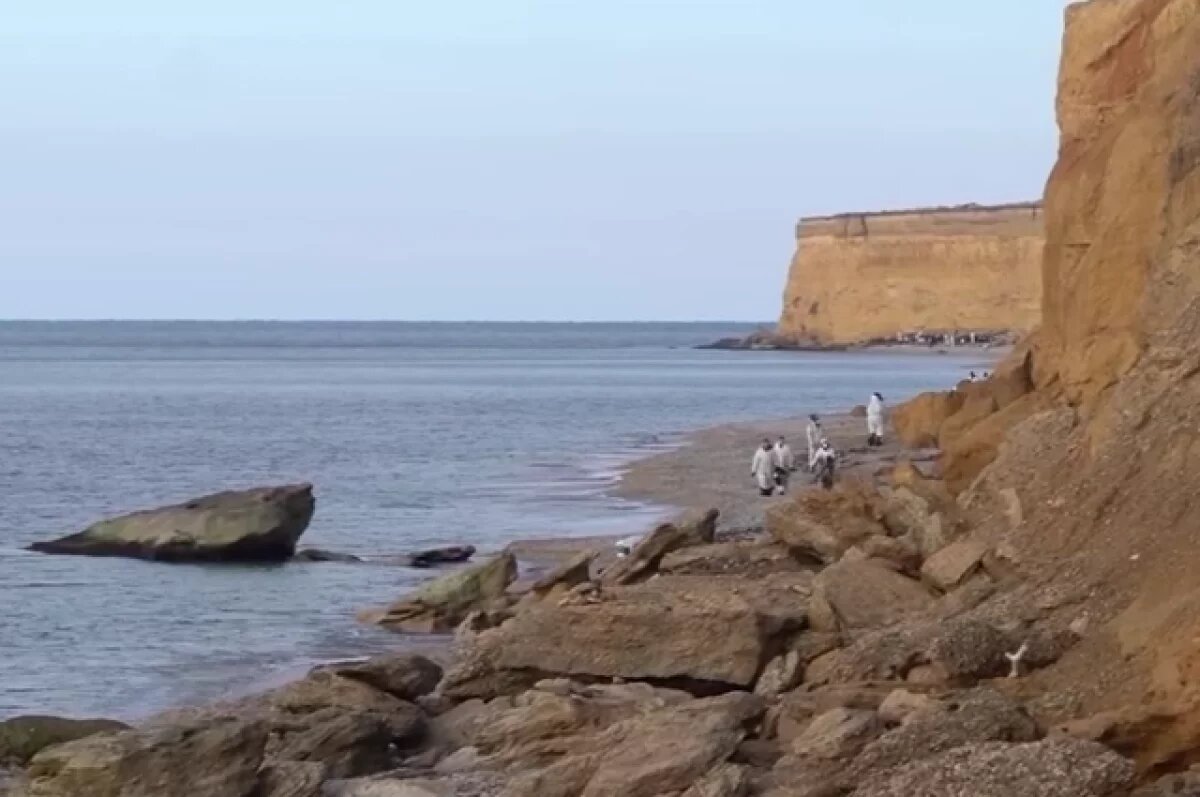    В Крыму собрали более 796 тонн загрязненного мазутом песка и грунта