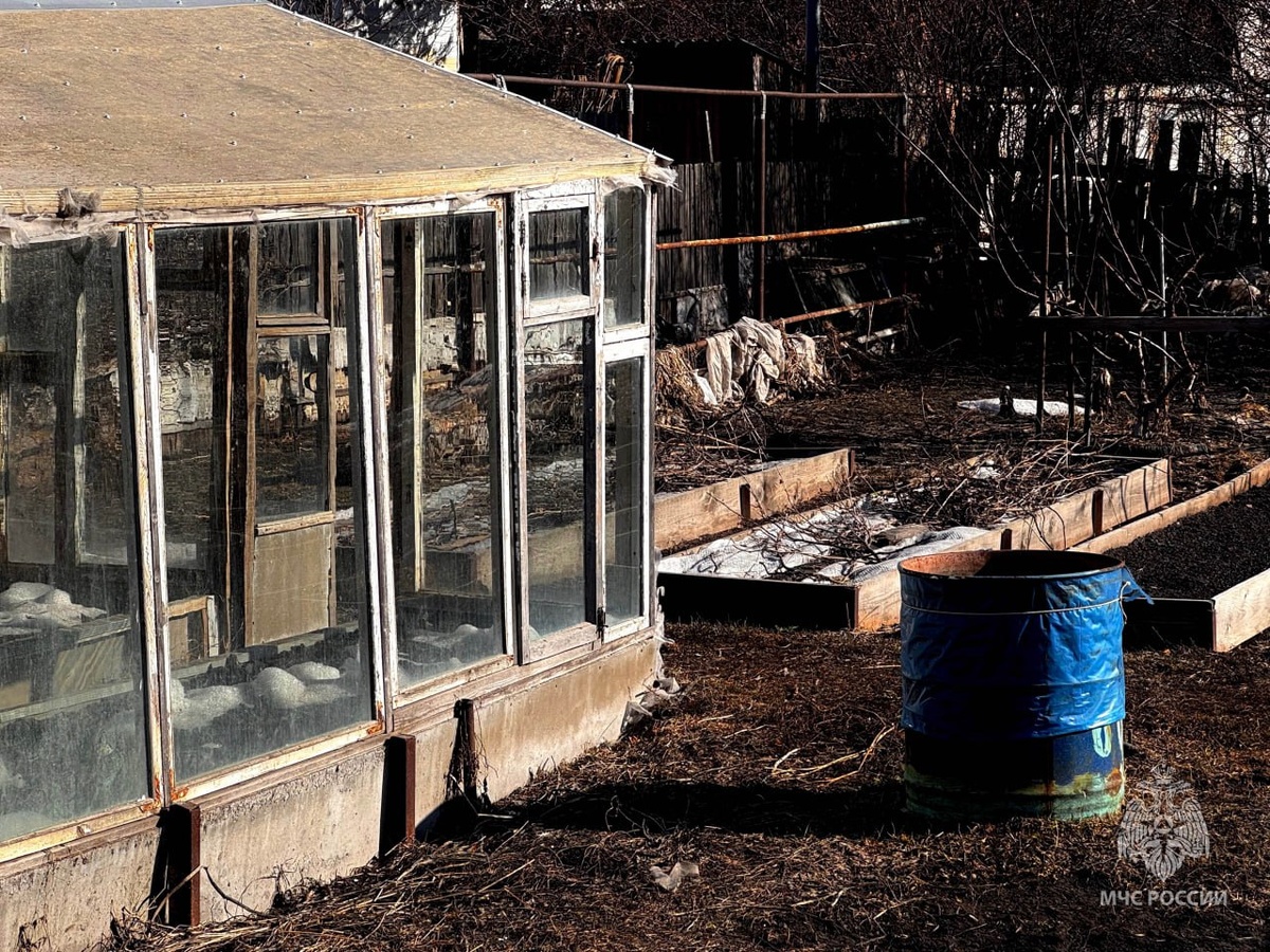    Фото: ГУ МЧС по Омской области