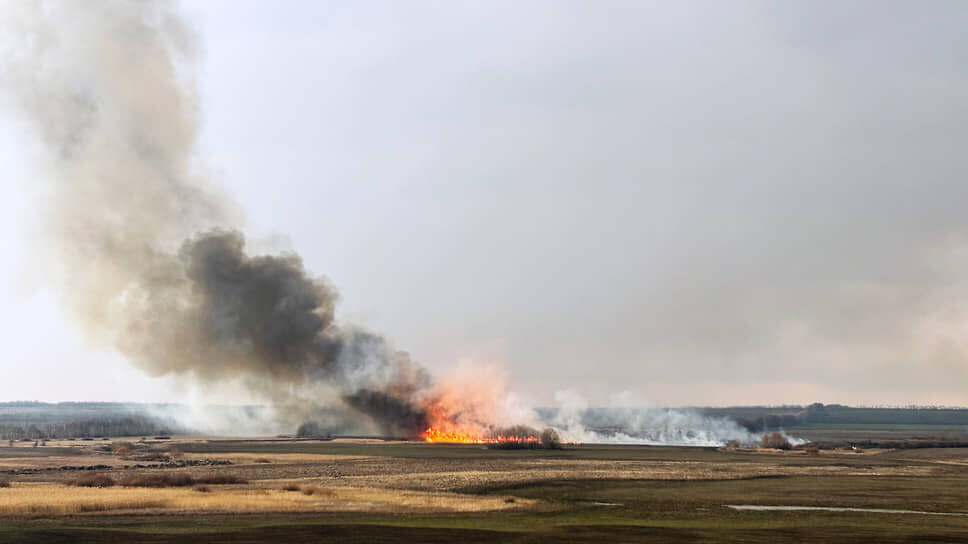 Фото: Мария Старикова / Коммерсантъ