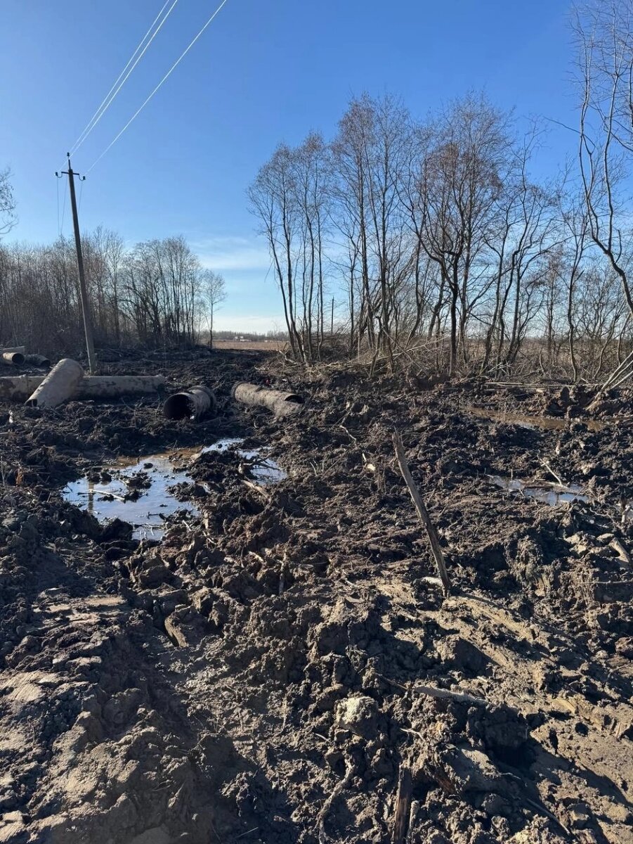    Фото: пресс-служба КГИОП