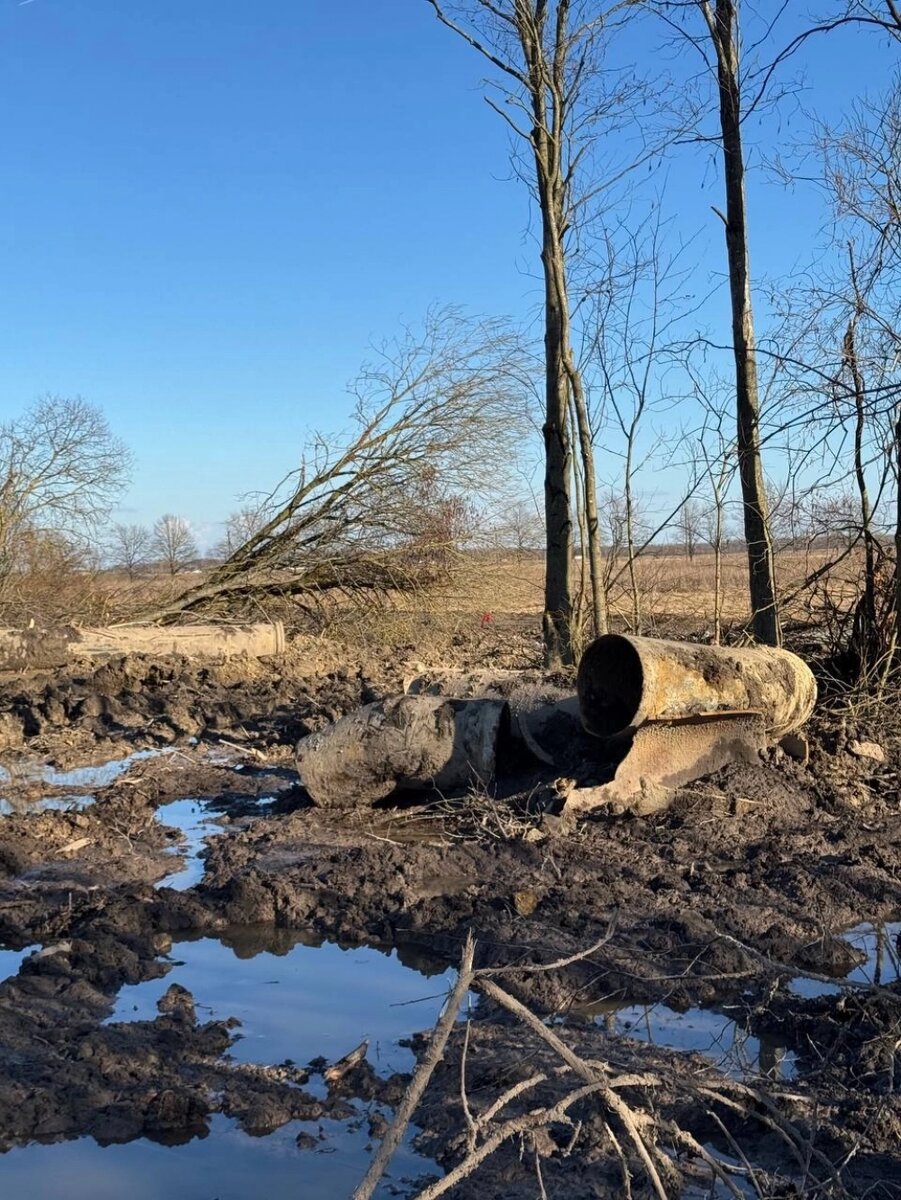    Фото: пресс-служба КГИОП
