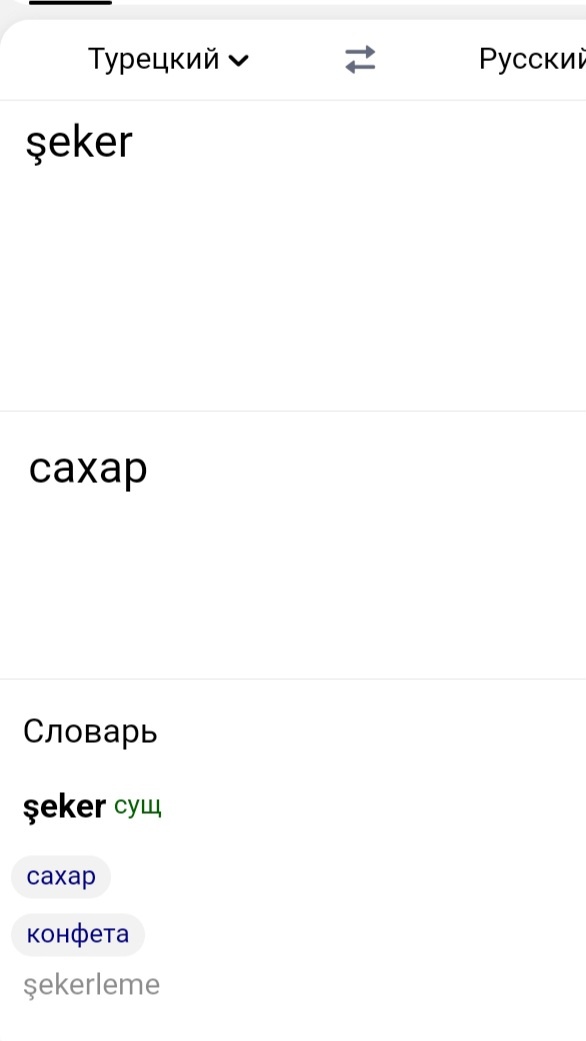 Скриншот страницы электронного переводчика.