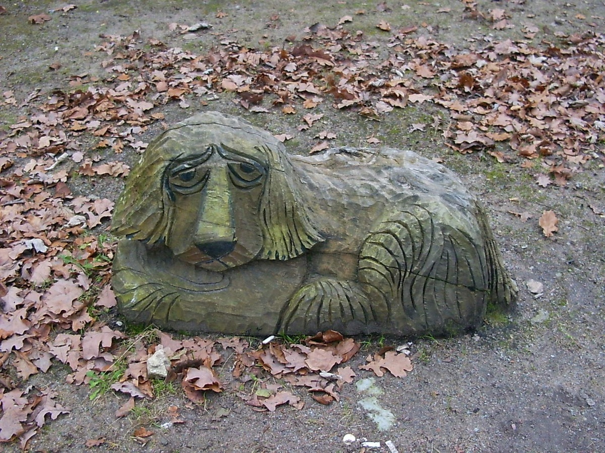 фото из архива автора