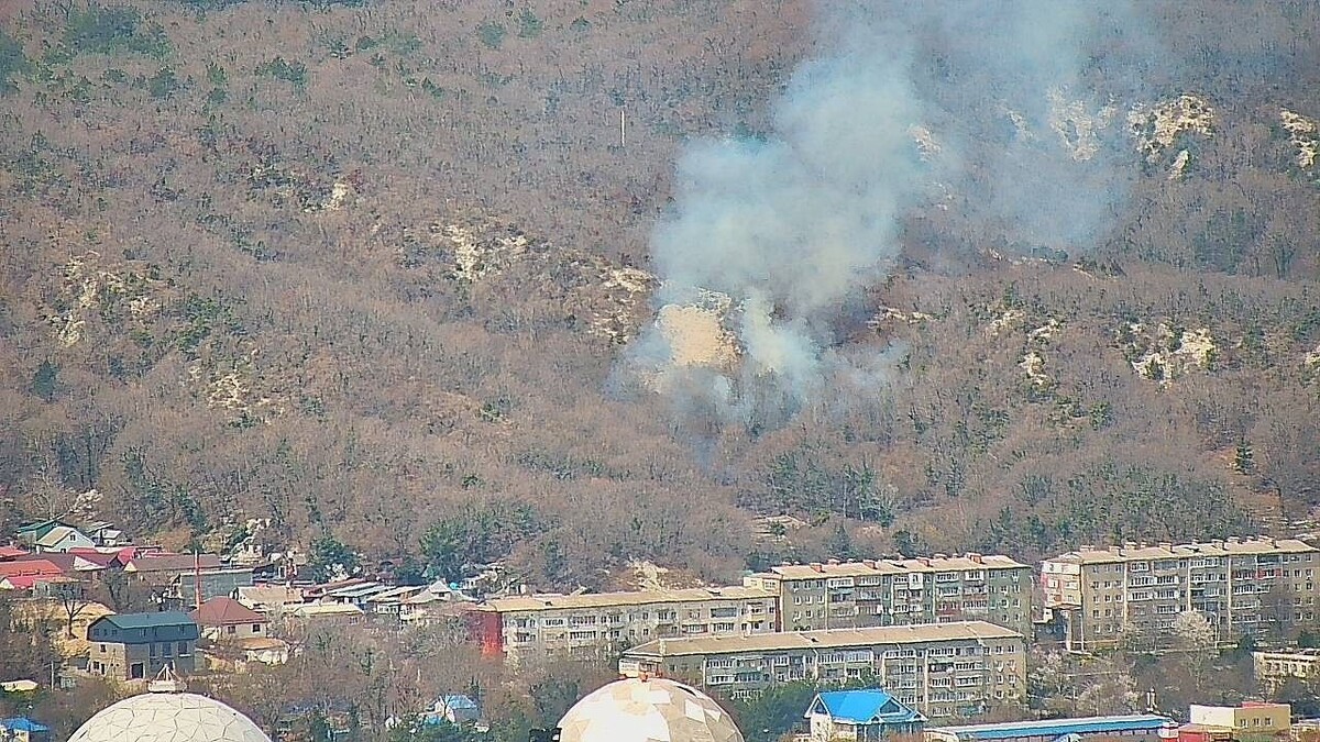    Фото: t.me/krd_klpc