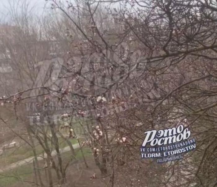 Источник фото: Телеграмм-канал "Это Ростов"/скриншот с видео