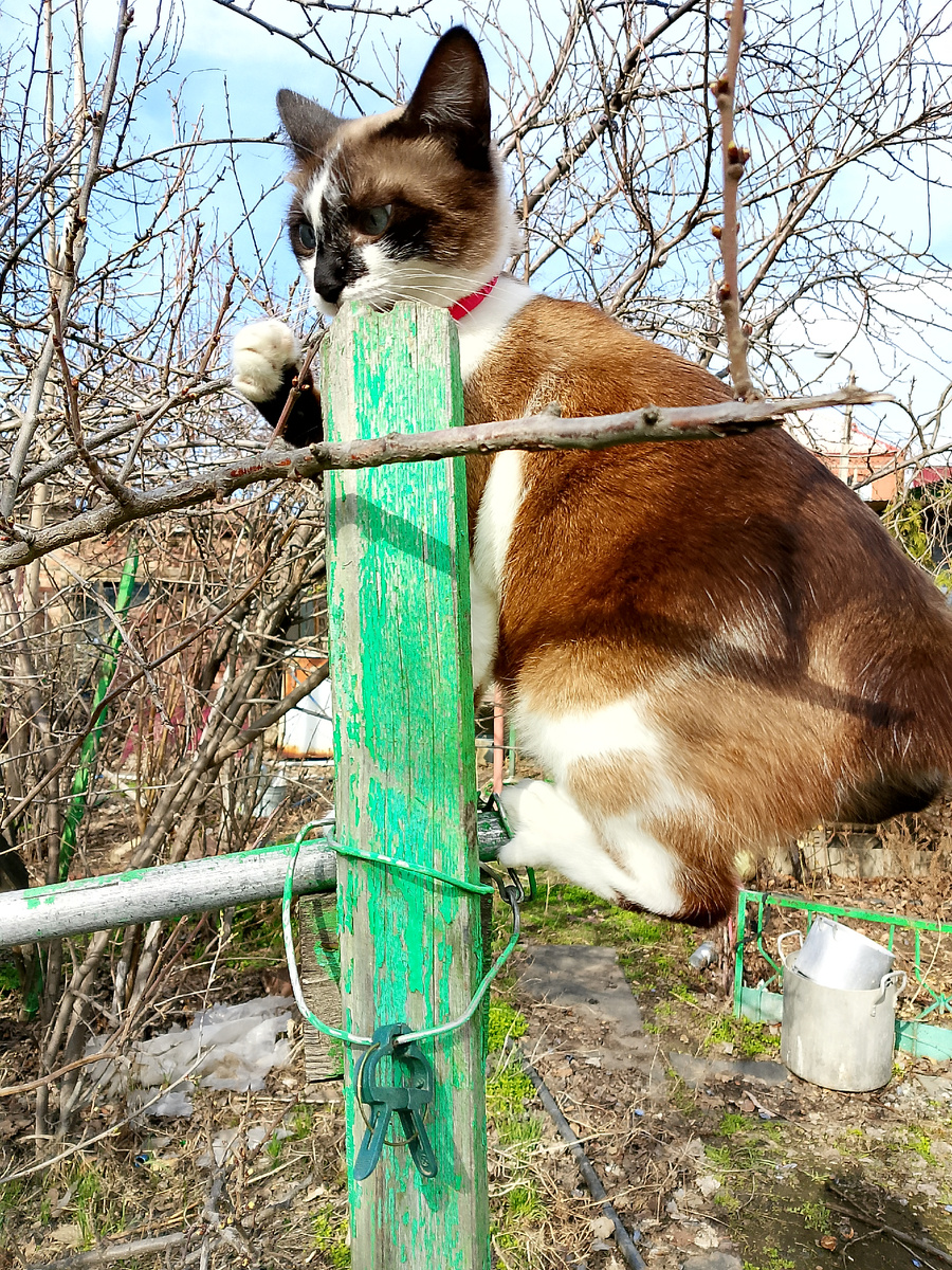 Фото автора