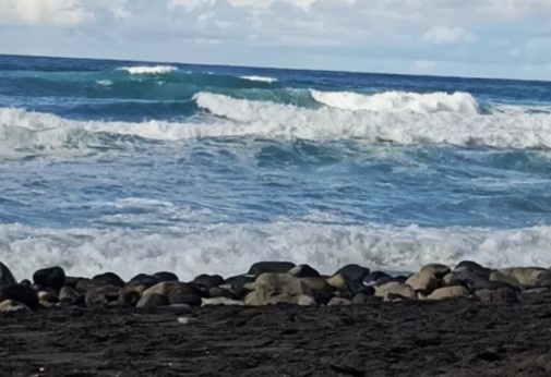 Пляж Сокорро. Лос Реалехос