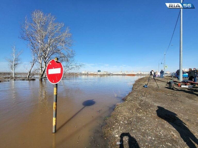    12 мостов и 3 участка дорог пока закрыты в Оренбуржье из-за паводка Белов Михаил Александрович
