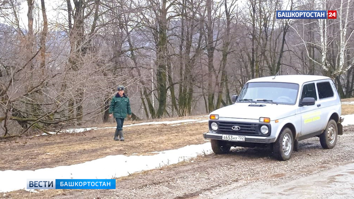    С начала года в Башкортостане лесные инспекторы провели более 4 тысяч патрулирований лесов