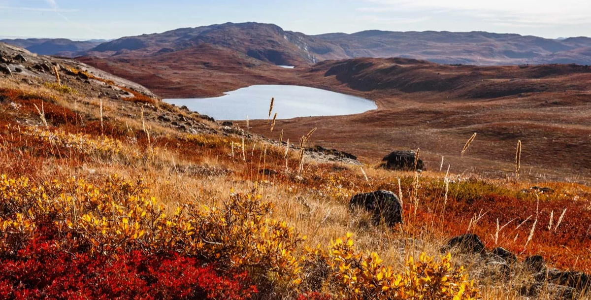 Природа Тундры. Источник фото - сайт: https://clck.ru/3Jr9JM