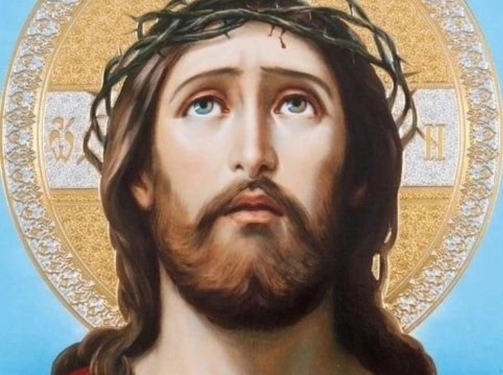 Верный друг – крепкая защита: кто нашел его, нашел сокровище