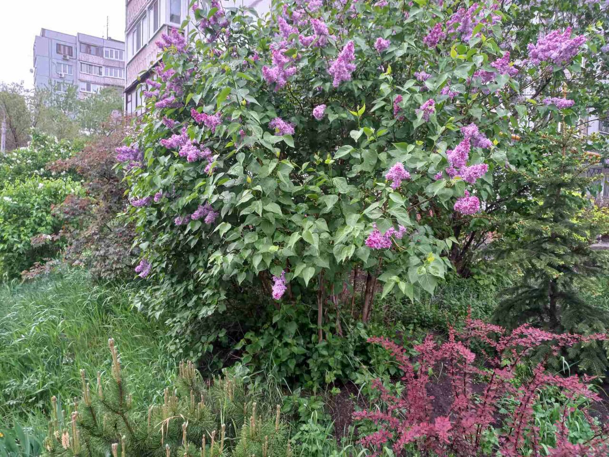 Фото автора.