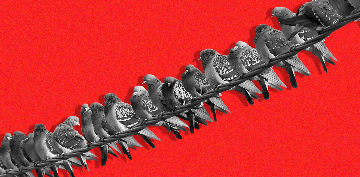 Фото: Михаил Метцель/ТАСС | Коллаж: Максим Конанков