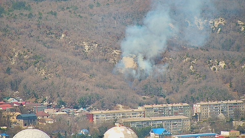    Фото: пресс-служба Краевого лесопожарного центра