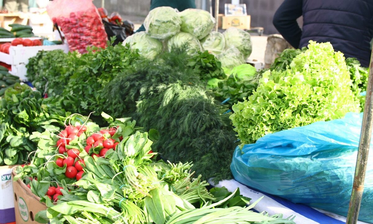    Фото пресс-службы администрации Краснодара