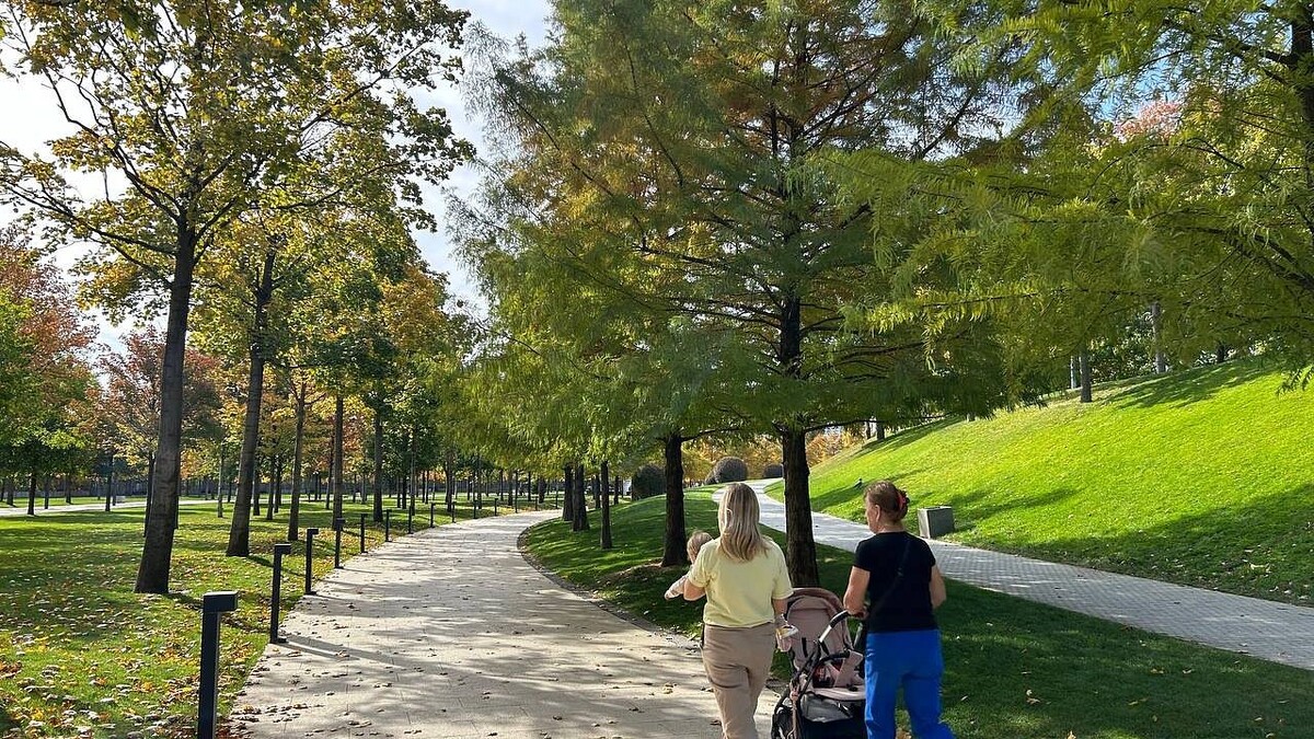    Фото: телеканал «Краснодар»