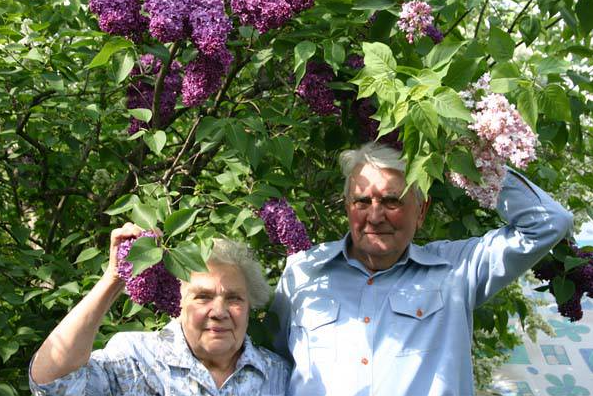 Михайловы Николай Леонидович и Нина Андреевна с сортами сирени "Николай Михайлов" и "Нина" в саду