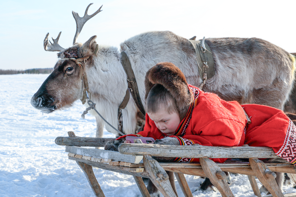 Фото: Grigorii Pisotsckii/Shutterstock/Fotodom