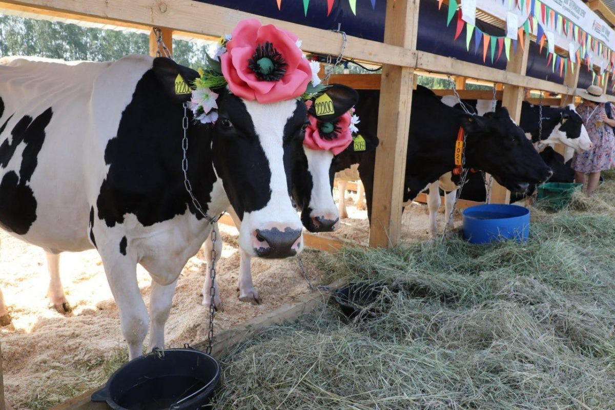    Организации АПК Нижегородской области приглашаются на выставку «День поля-2025» в качестве участников