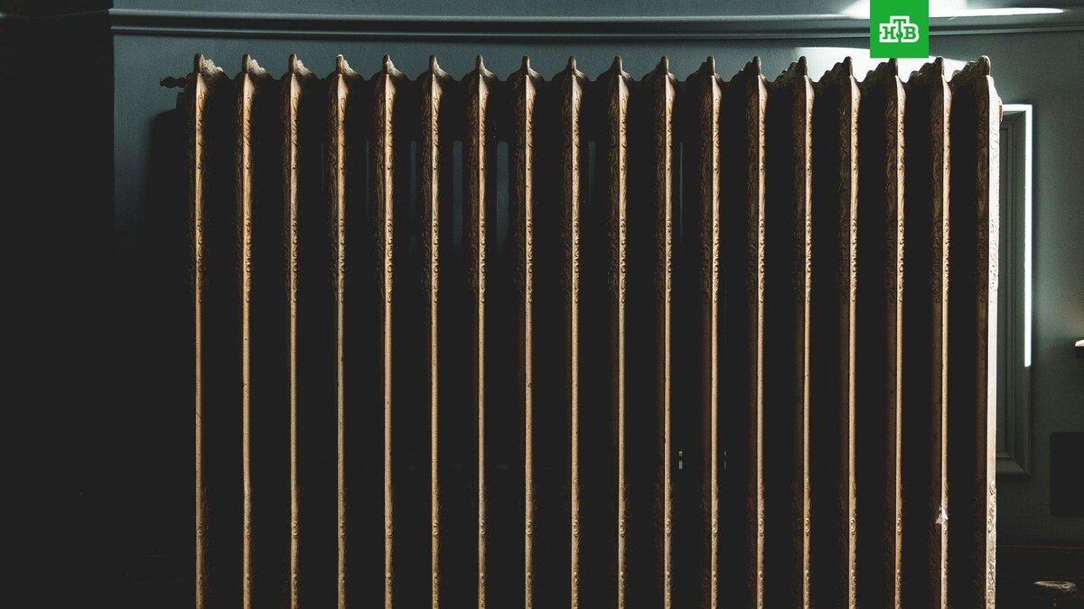    Фото: Alex Perz / unsplash.com