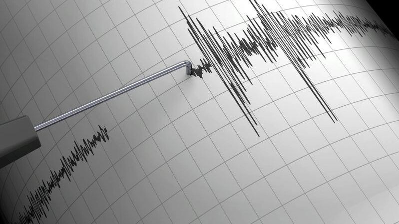    Фото: McCarony/Shutterstock/Fotodom