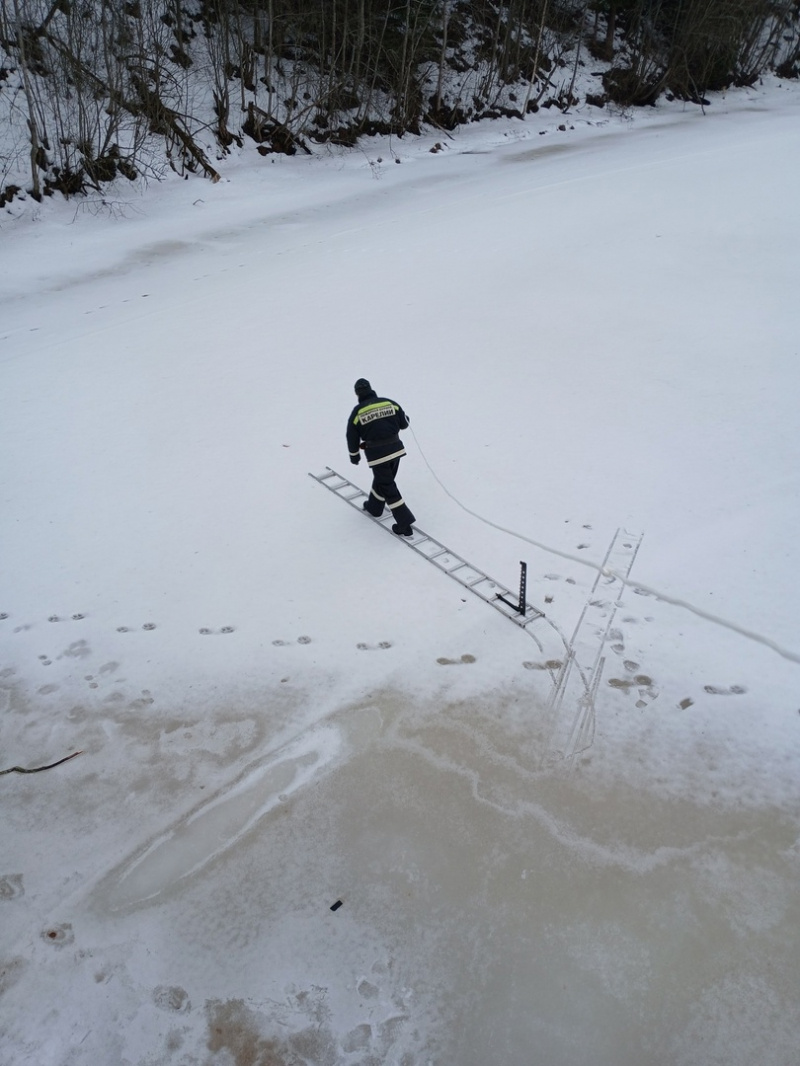    Неизвестные раскидали липовые деньги по тонкому льду в КарелииОПС по Олонецкому району