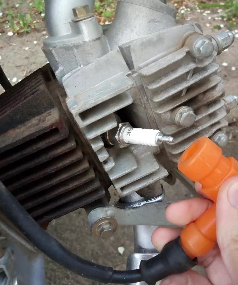 Фото из интернета