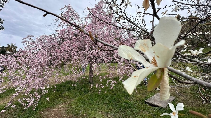    Фото: «Кубань Информ»