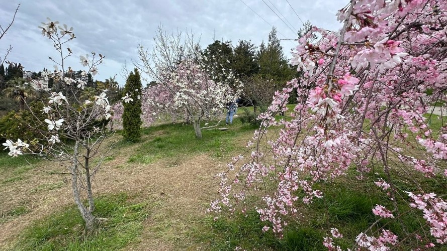    Фото: «Кубань Информ»