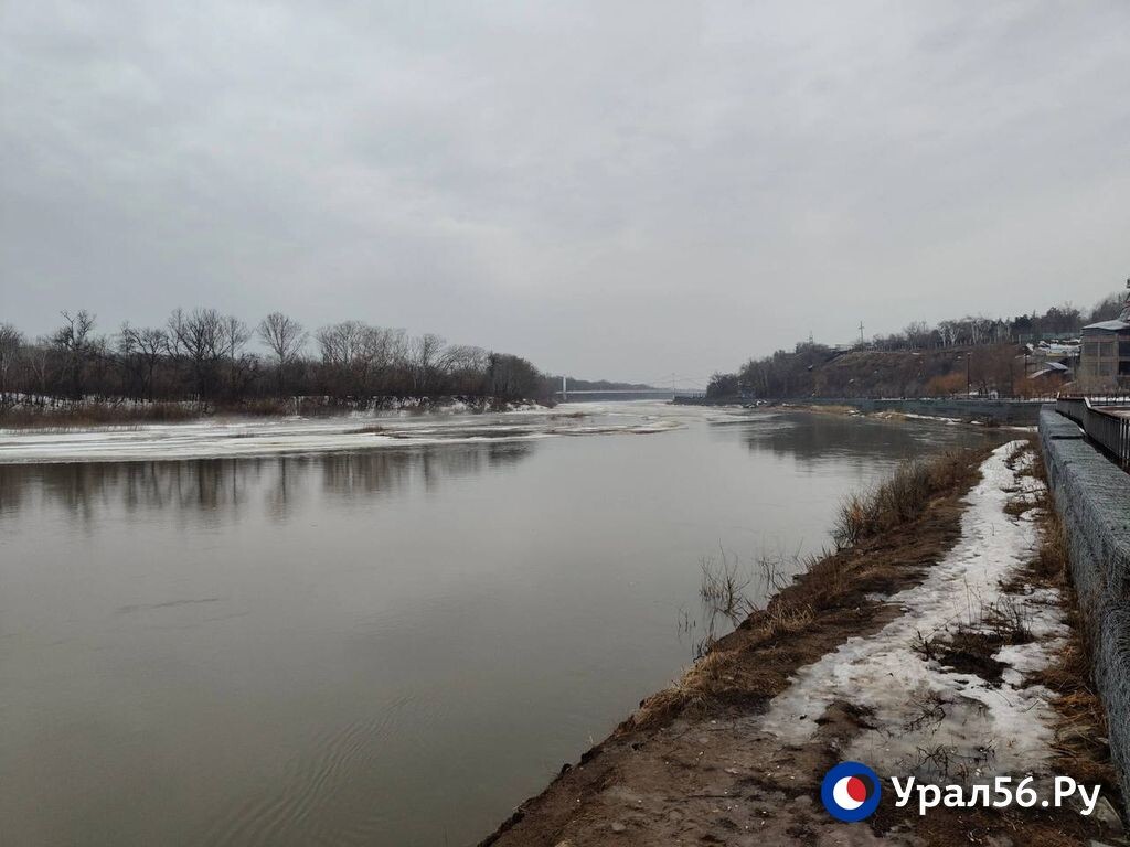    Илек, Урал, Каргала, Орь: Свежие данные рек в Казахстане