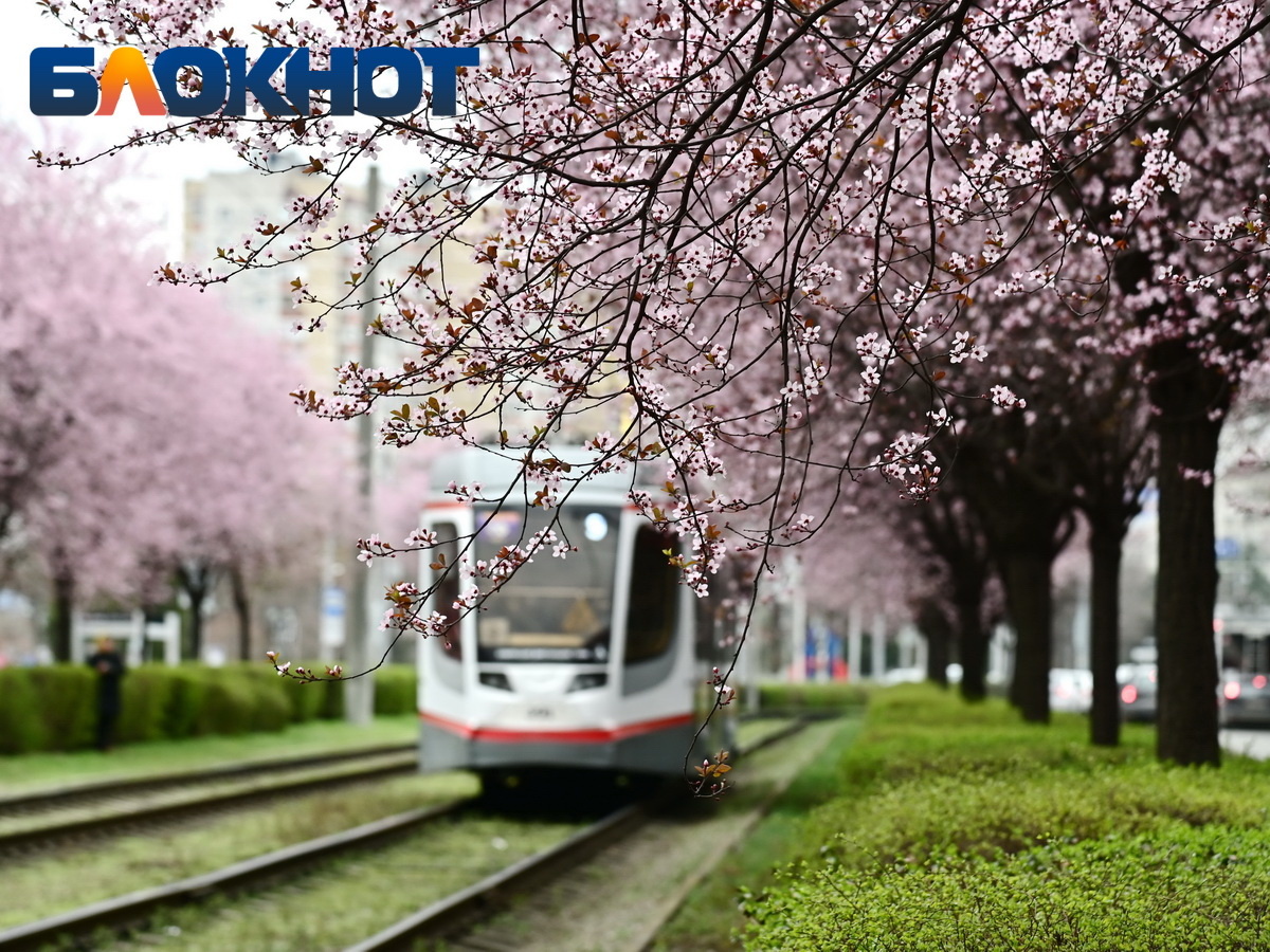 Фото: "Блокнот Краснодар"