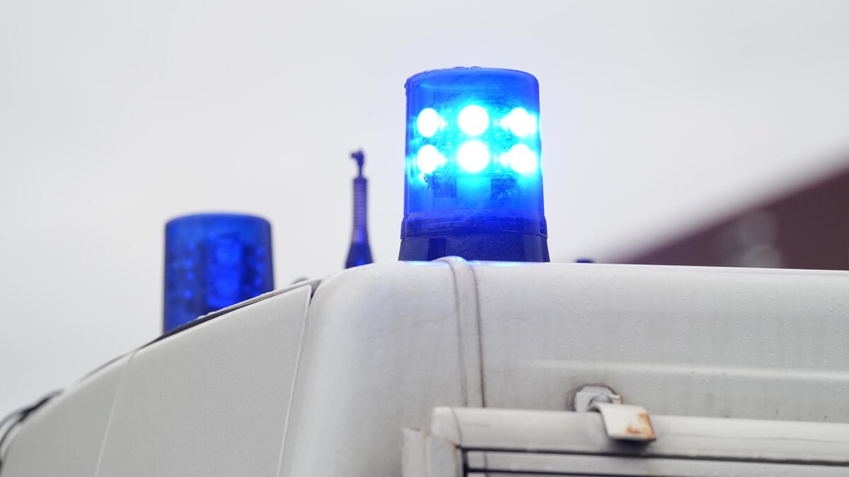    Фото: ИЗВЕСТИЯ/Эдуард Корниенко