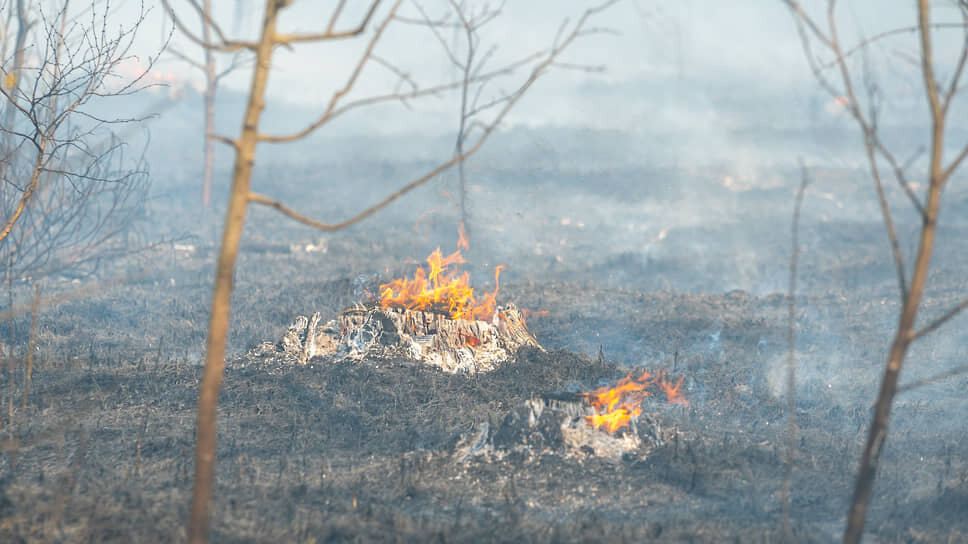 Фото: Олег Харсеев / Коммерсантъ