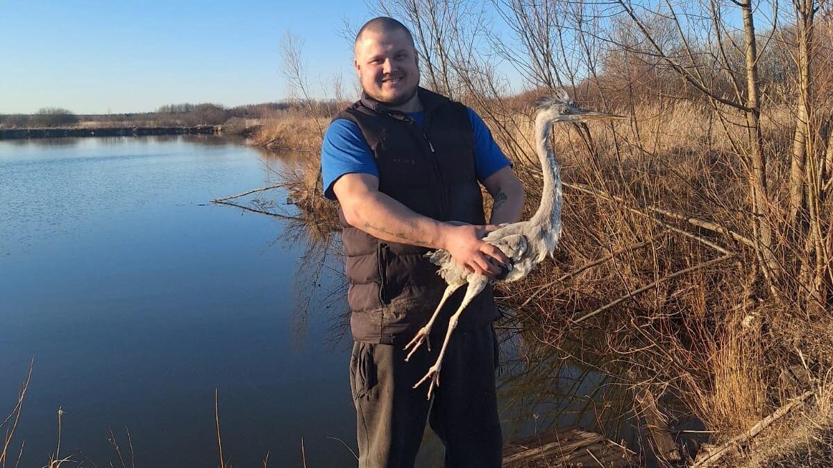 Фото Дмитрия Елисеева 