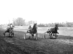 Фото предоставлено ГУ ТО “Тульские парки”