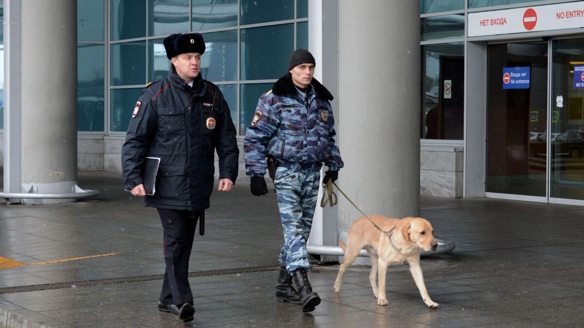    Фото: Free Wind 2014/Shutterstock/Fotodom