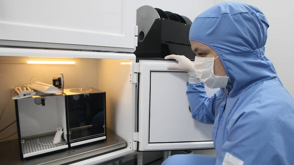 Мышь в виварии научно-исследовательской лаборатории ПИМУ Минздрава России.📷Фото: Роман Яровицын / Коммерсантъ