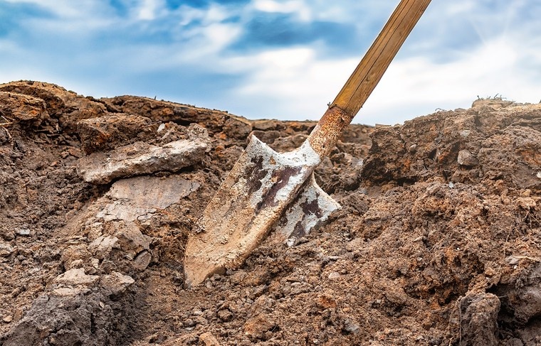    Shutterstock/FOTODOM