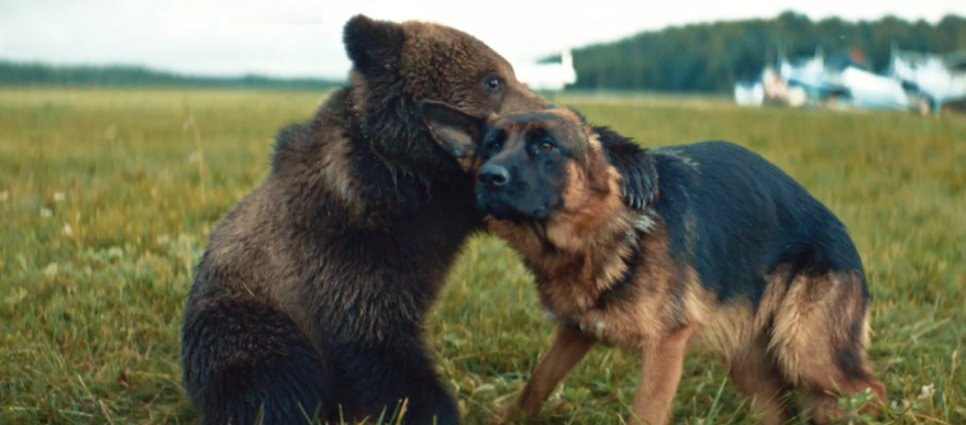    Источник фото: