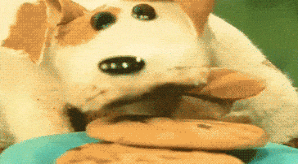   Nanalan' / The Grogs, 1998 – 2006