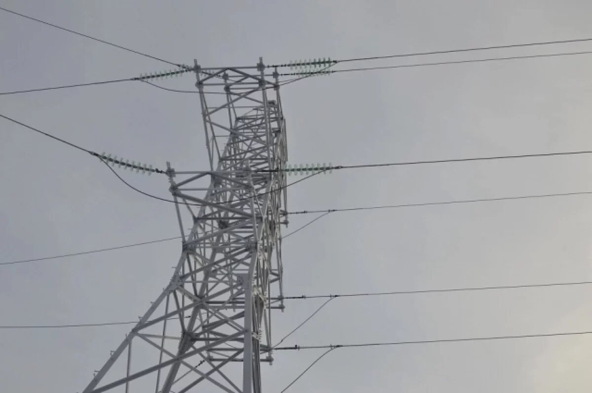    Новые птицезащитные устройства установят на одной из крупных псковских ЛЭП