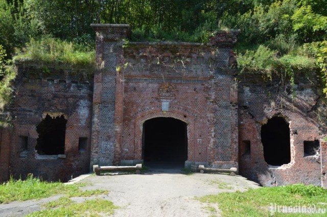   Фото: Артём Сулоев, prussia39.ru