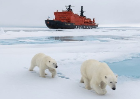    Европейские санкции, американские тарифы, украинские активы и новые возможности, которые предлагает Россия
