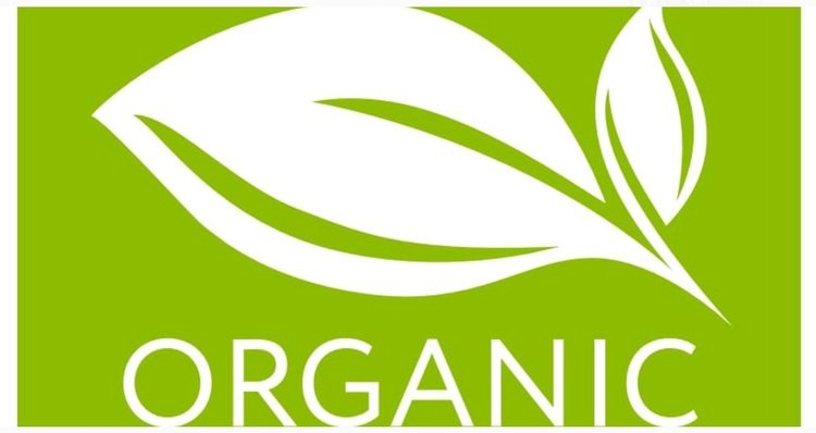    Первая сертифицированная органическая однозернянка в России выращивается на Ставрополье