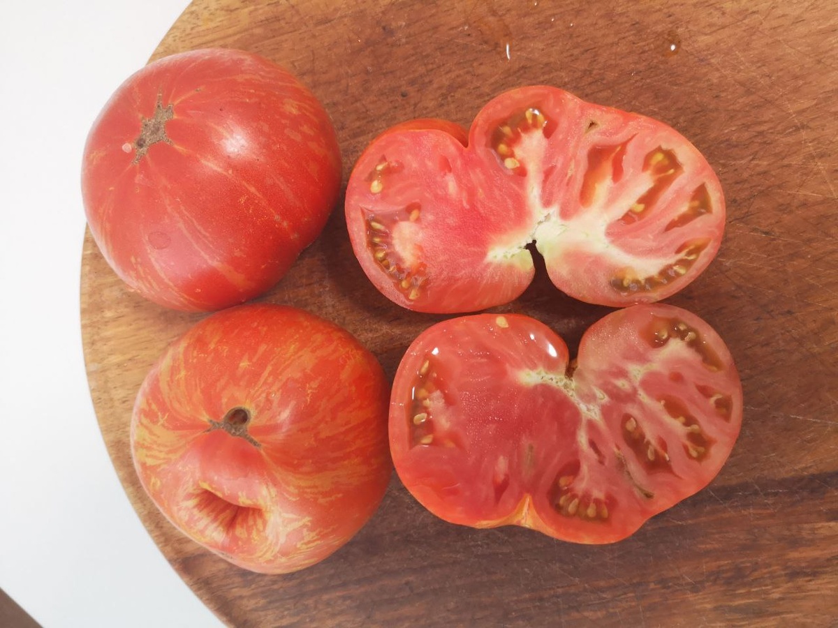 Гном Прекрасный король