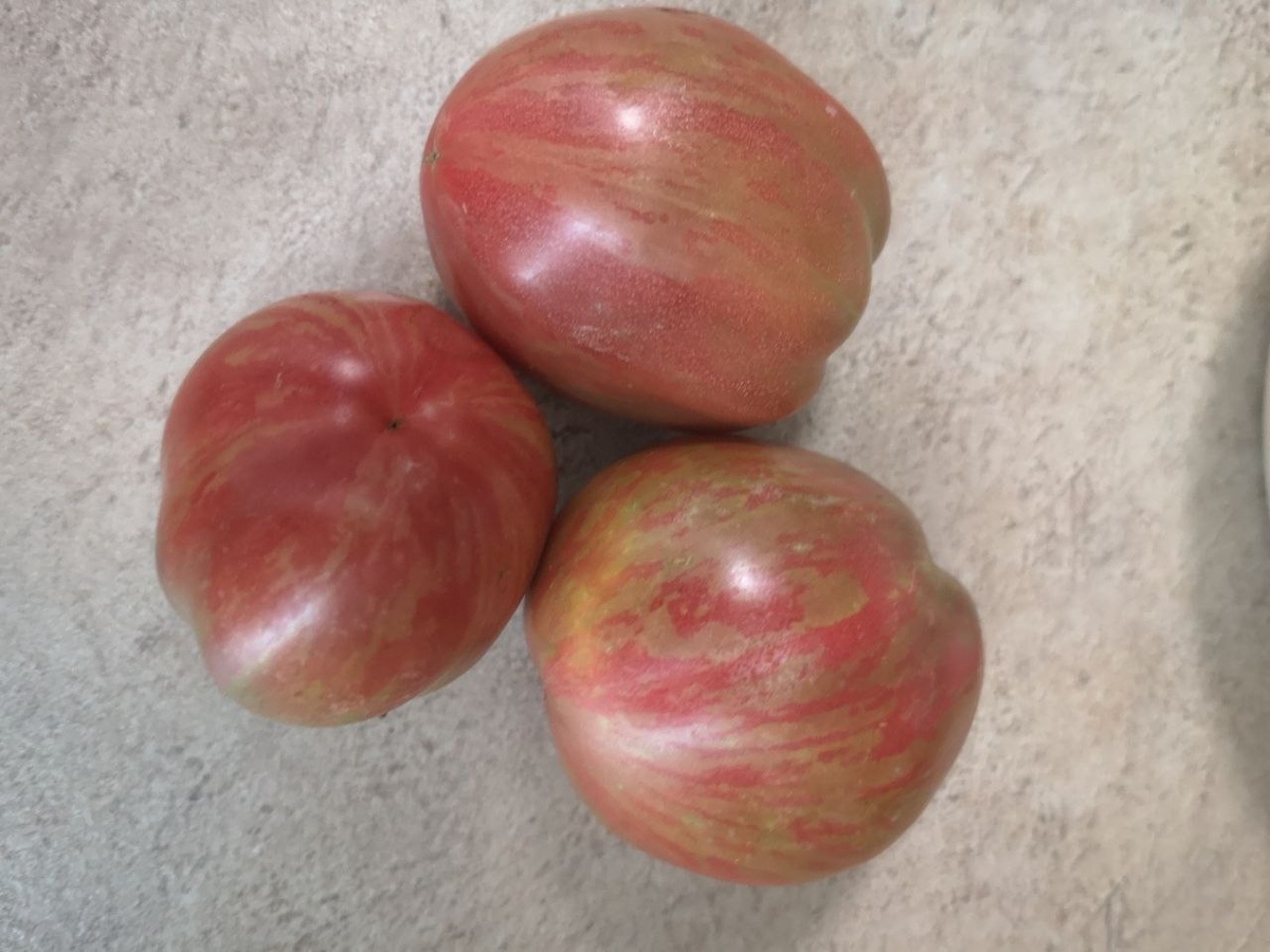 Гном Грааль