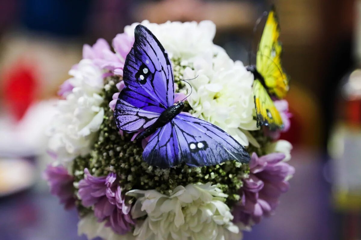    Волгоградцы готовятся к длинным майским выходным