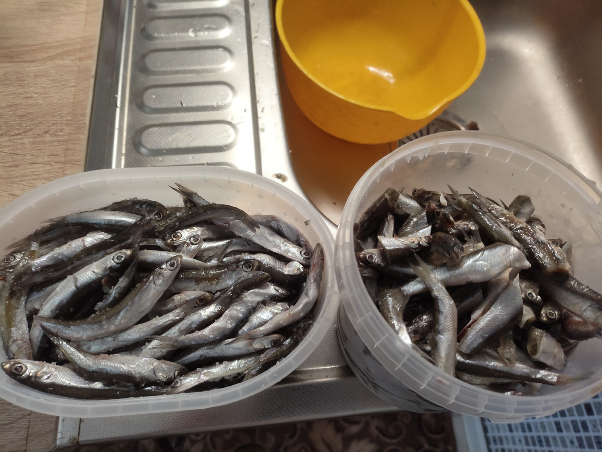 В свою кинула лаврушку и соль с сахаром. Без специй решила.