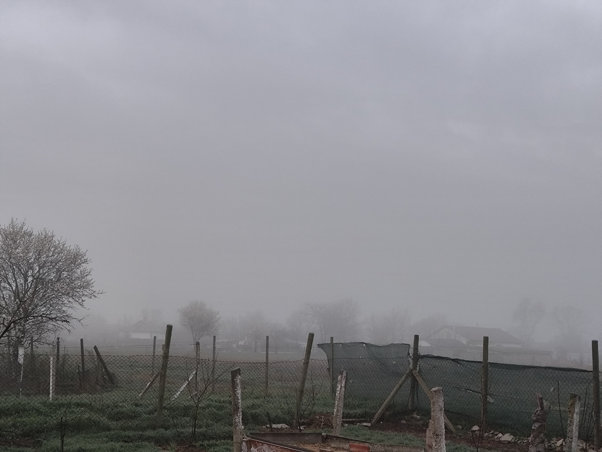 Все в молоке...