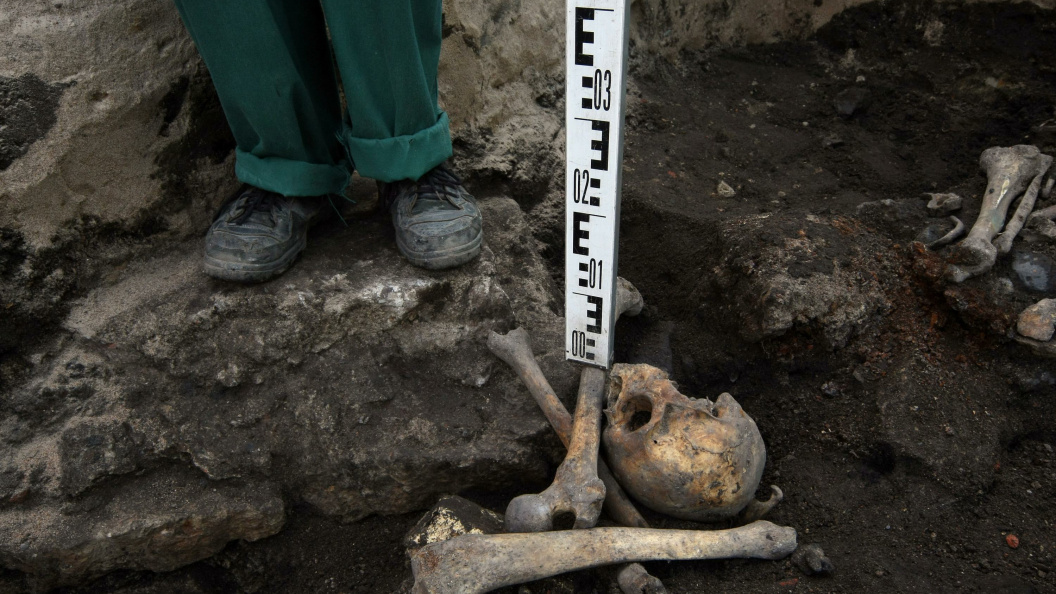    Zamir Usmanov/Globallookpress